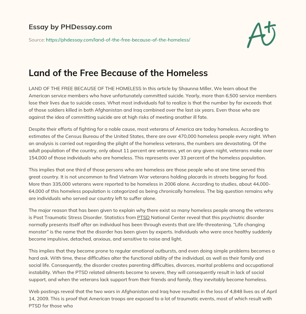 Land of the Free Because of the Homeless essay