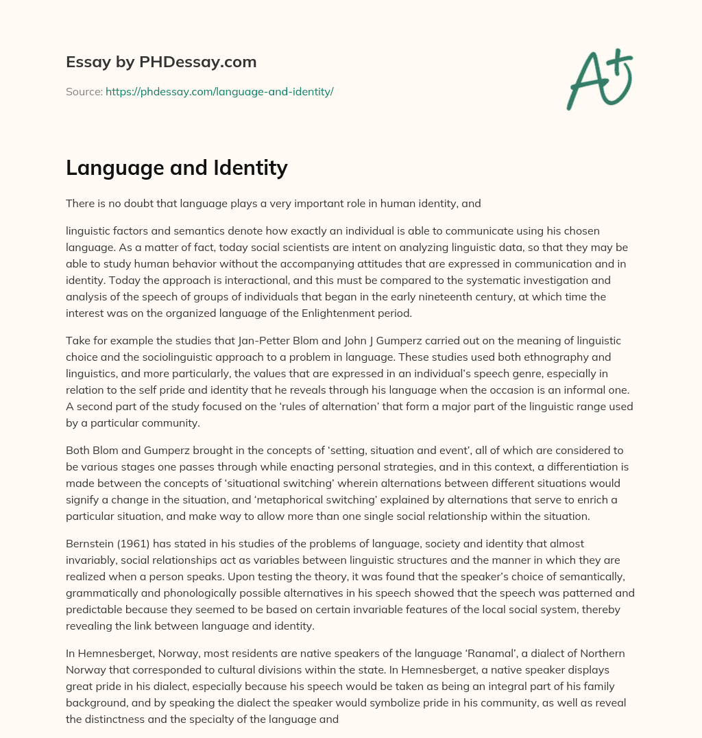 language is our identity essay