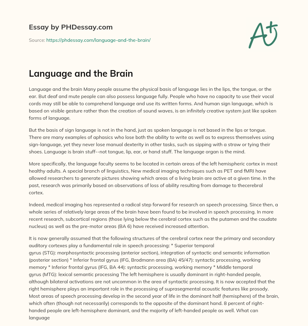 Language and the Brain essay