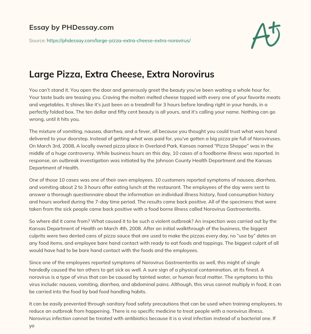 Large Pizza, Extra Cheese, Extra Norovirus essay