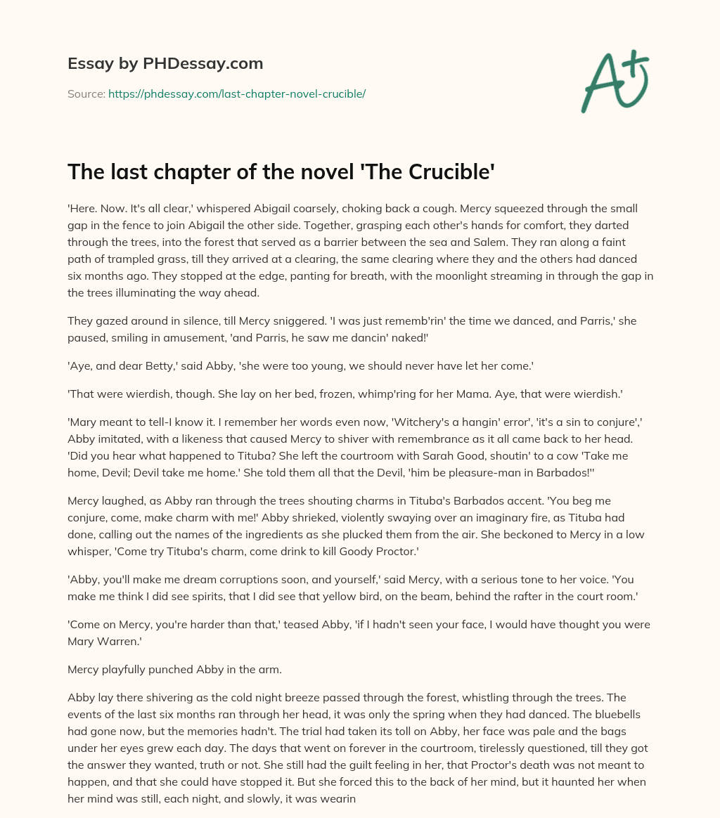 The last chapter of the novel ‘The Crucible’ essay