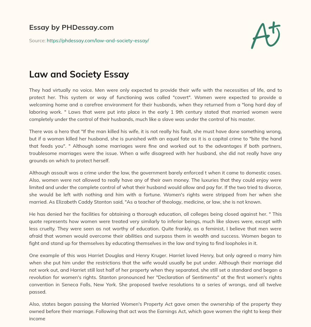 Law and Society Essay essay