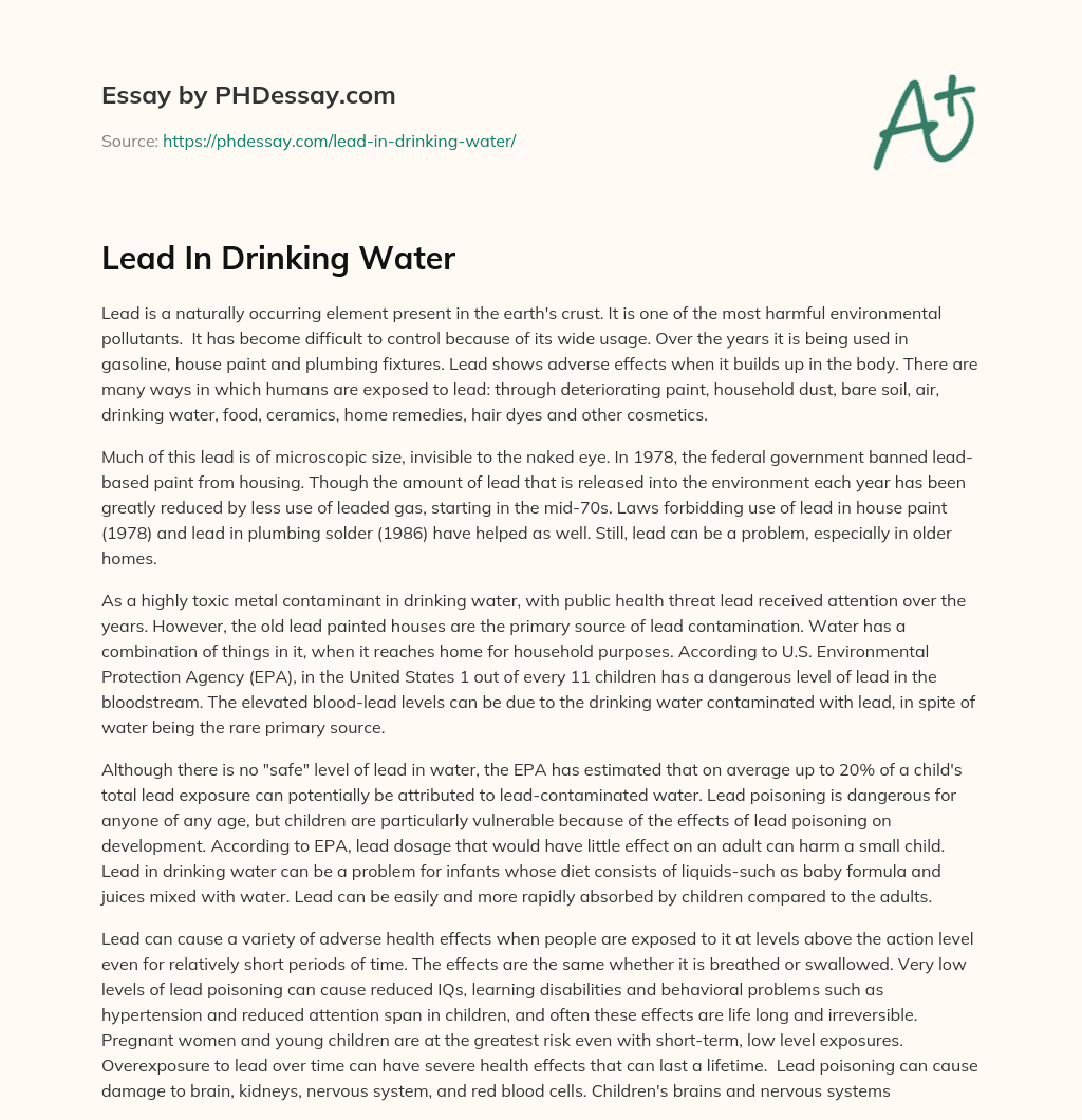 Lead In Drinking Water essay
