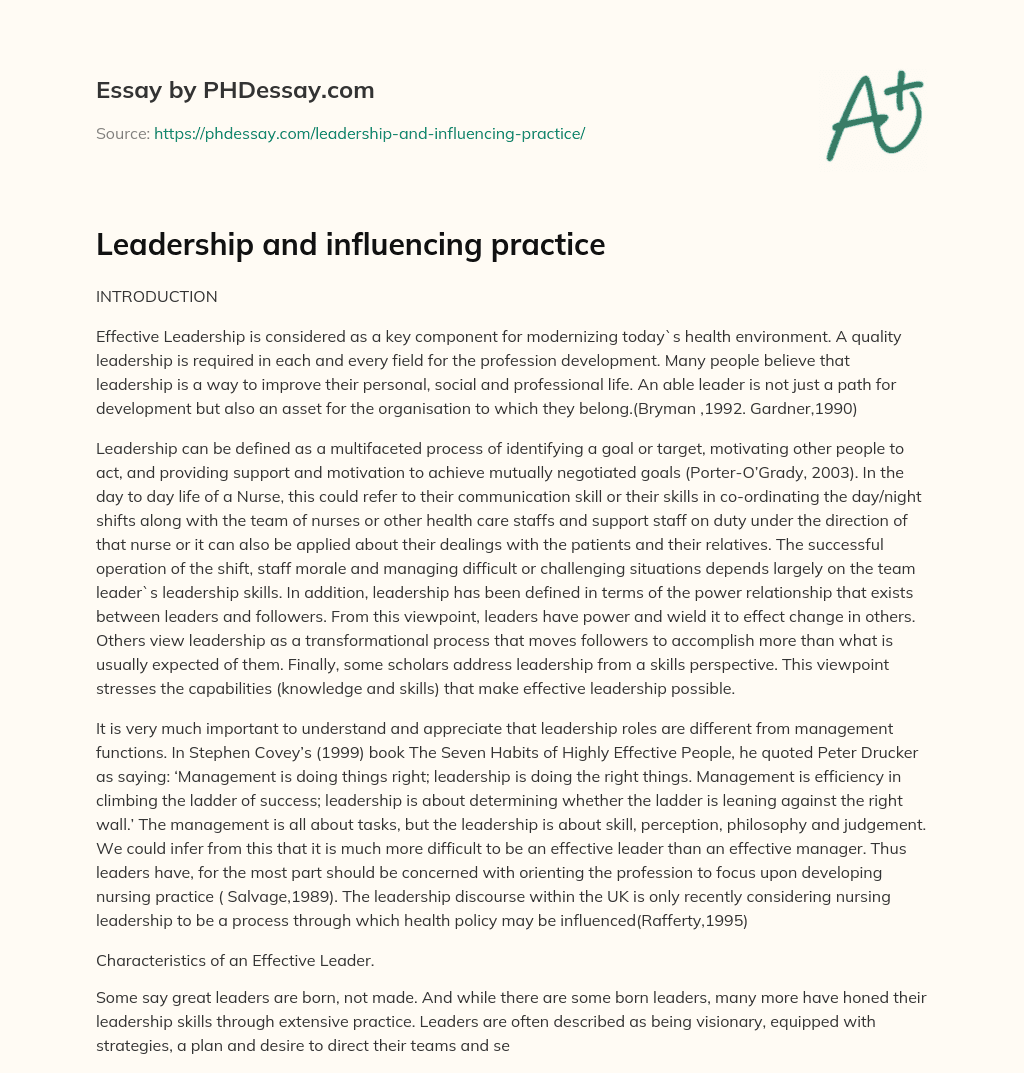 Leadership and influencing practice essay