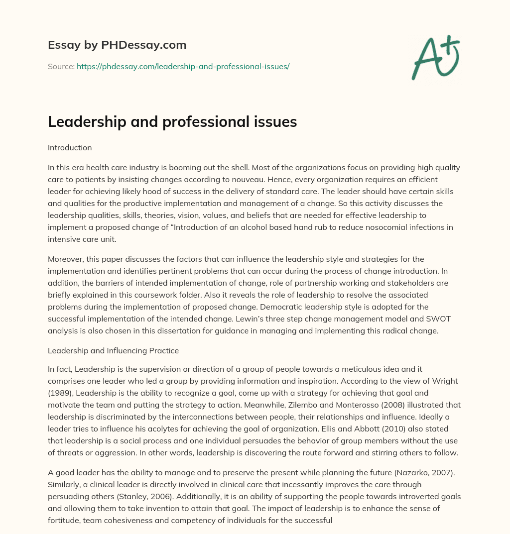 Leadership and professional issues essay