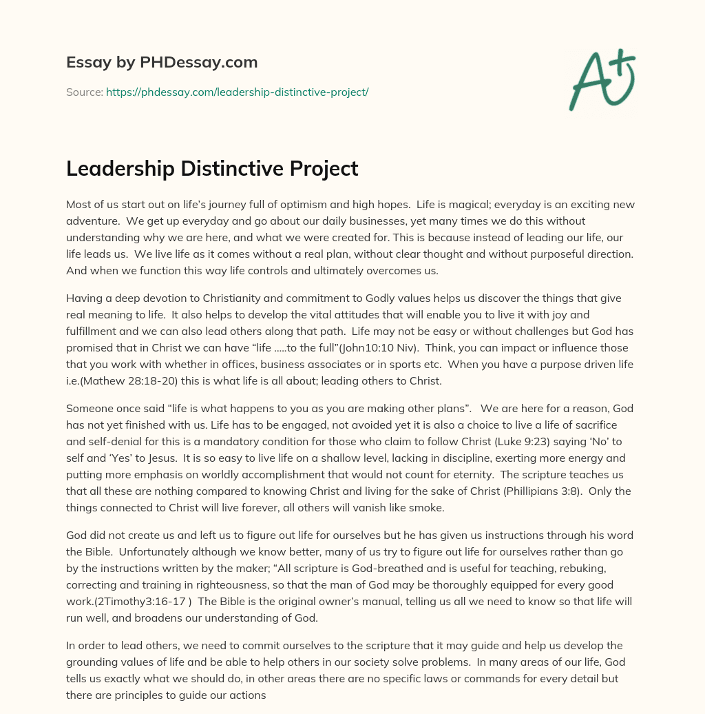 Leadership Distinctive Project essay