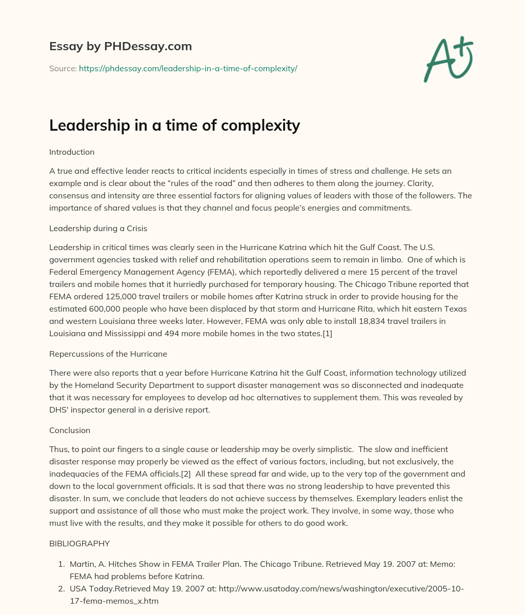 Leadership in a time of complexity essay