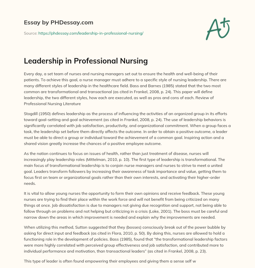 Leadership in Professional Nursing essay