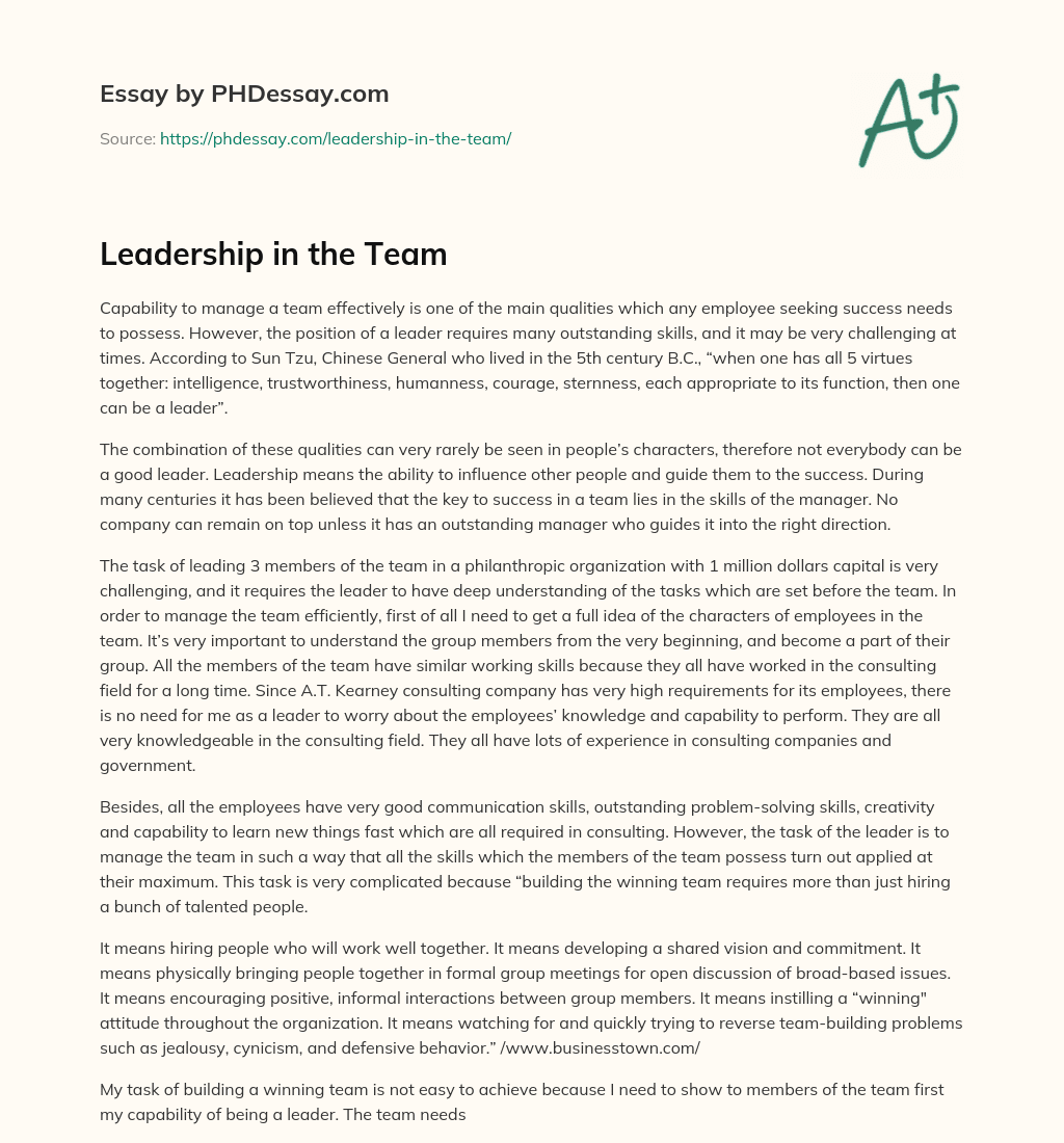 Leadership in the Team essay