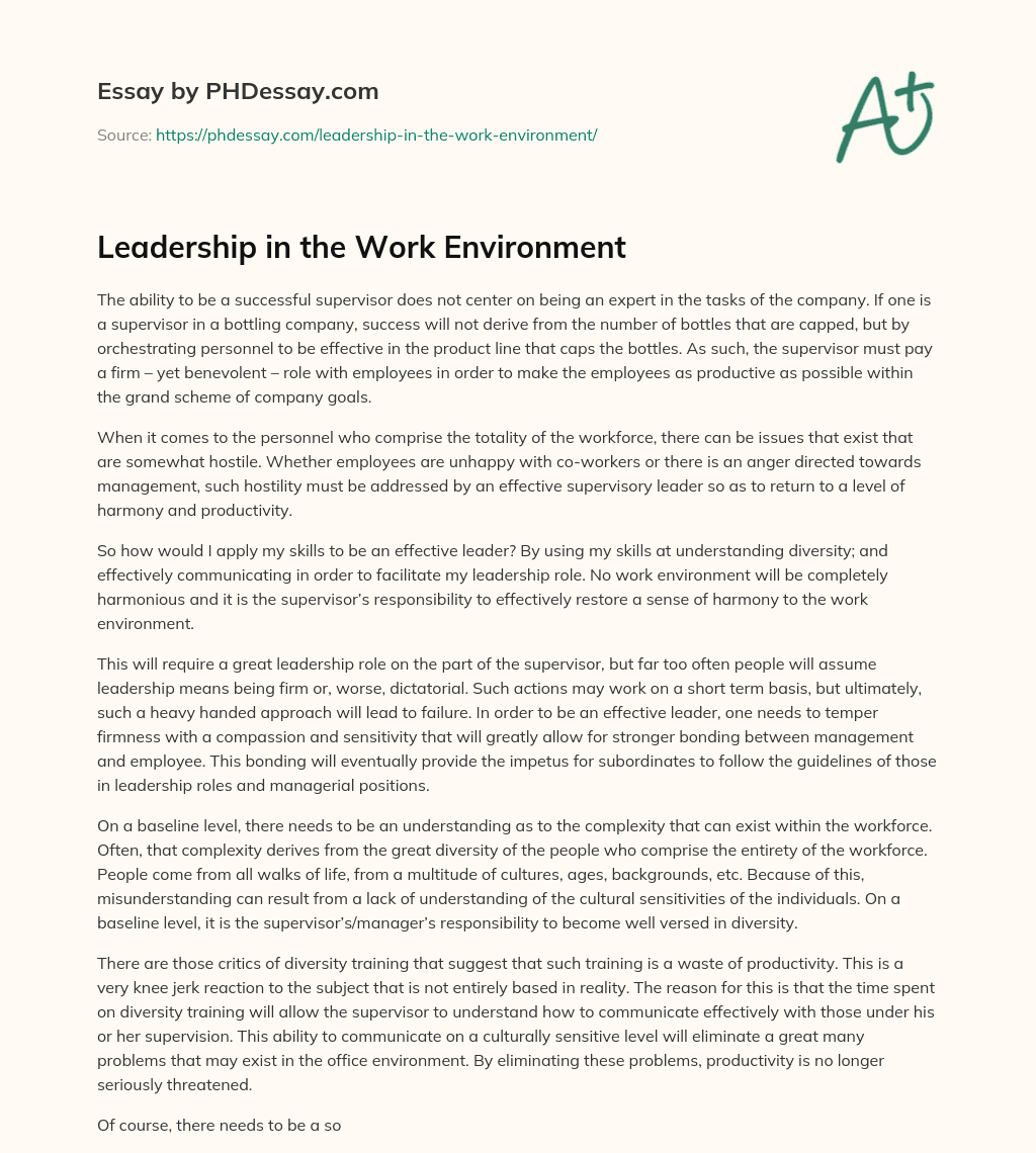 Leadership in the Work Environment essay