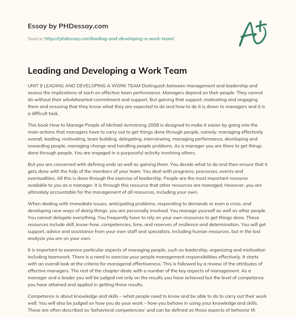 Leading and Developing a Work Team essay