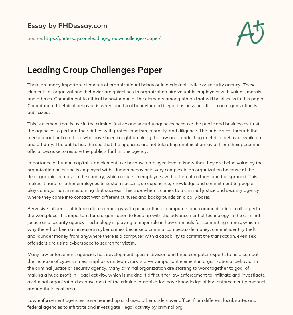 Leading Group Challenges Paper essay