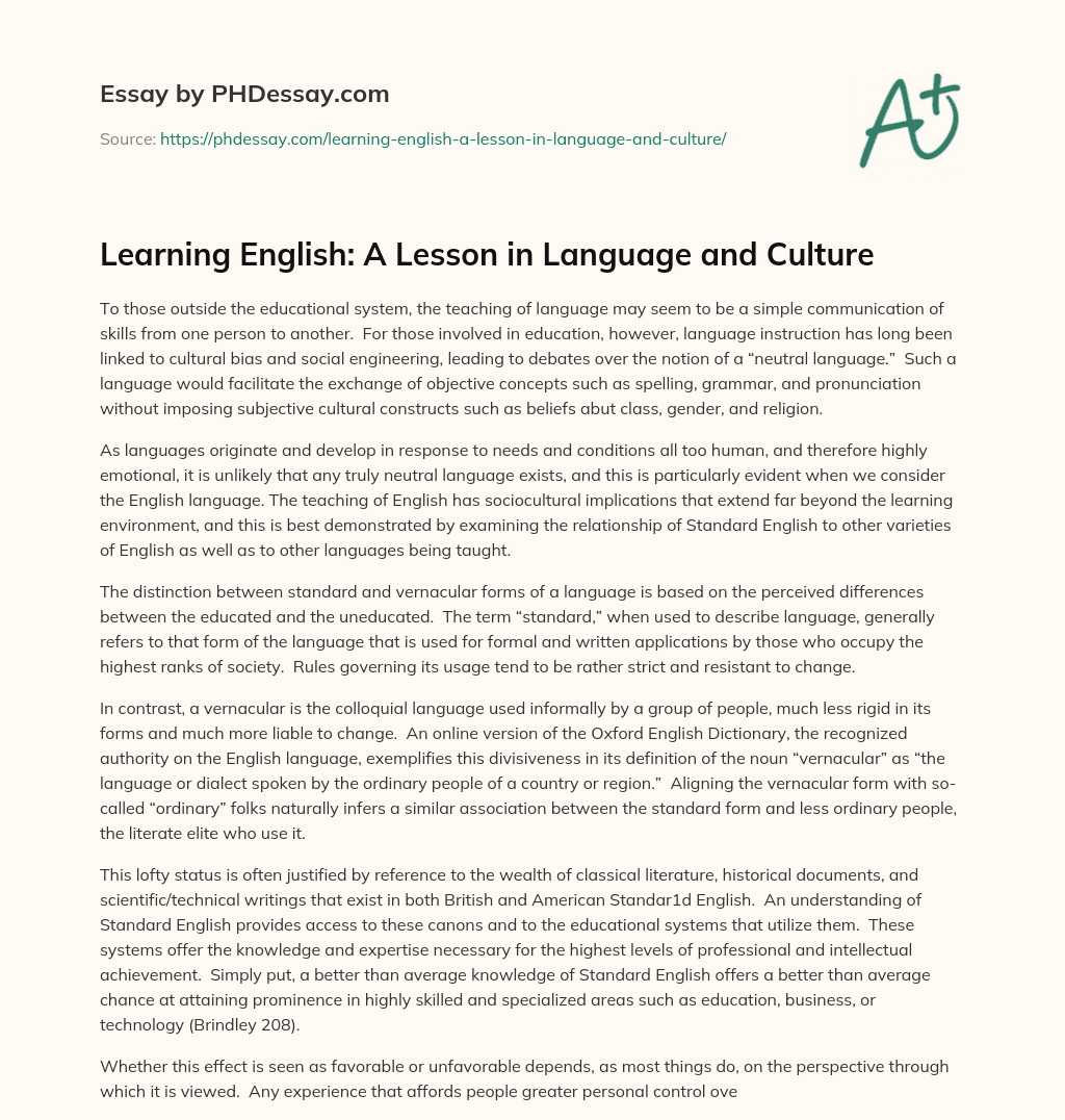 Learning English: A Lesson in Language and Culture essay
