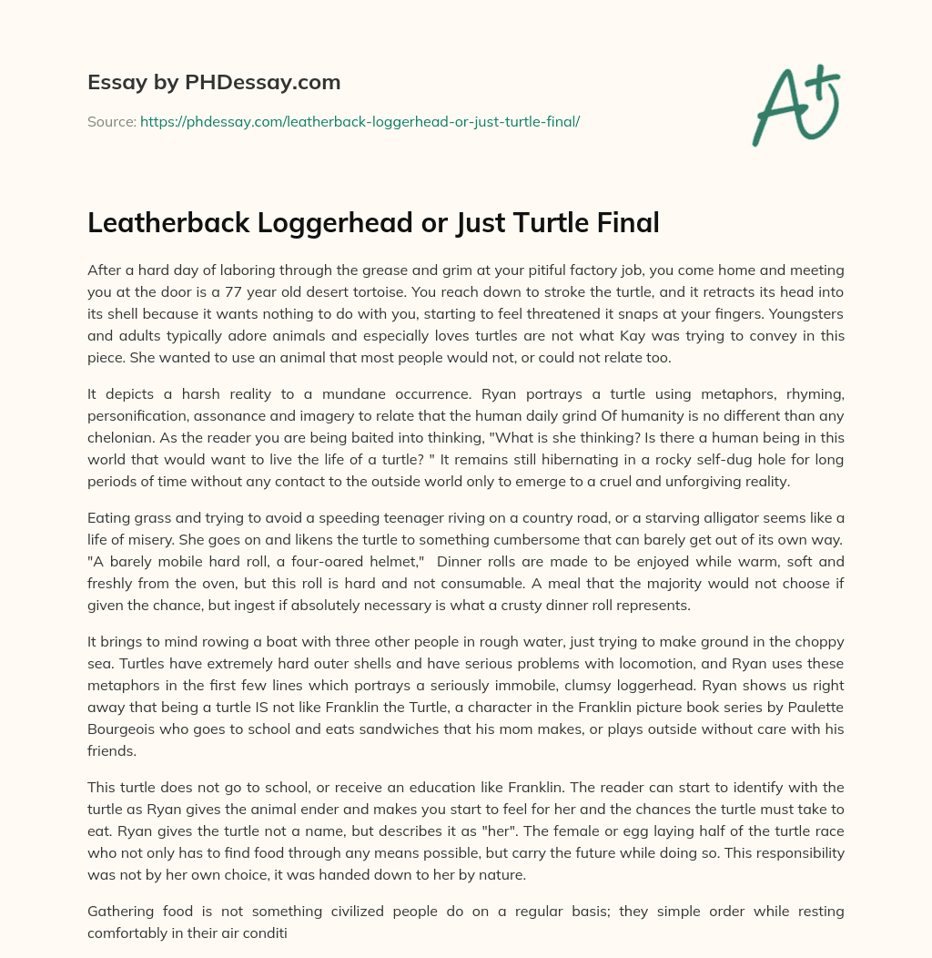 Leatherback Loggerhead or Just Turtle Final essay