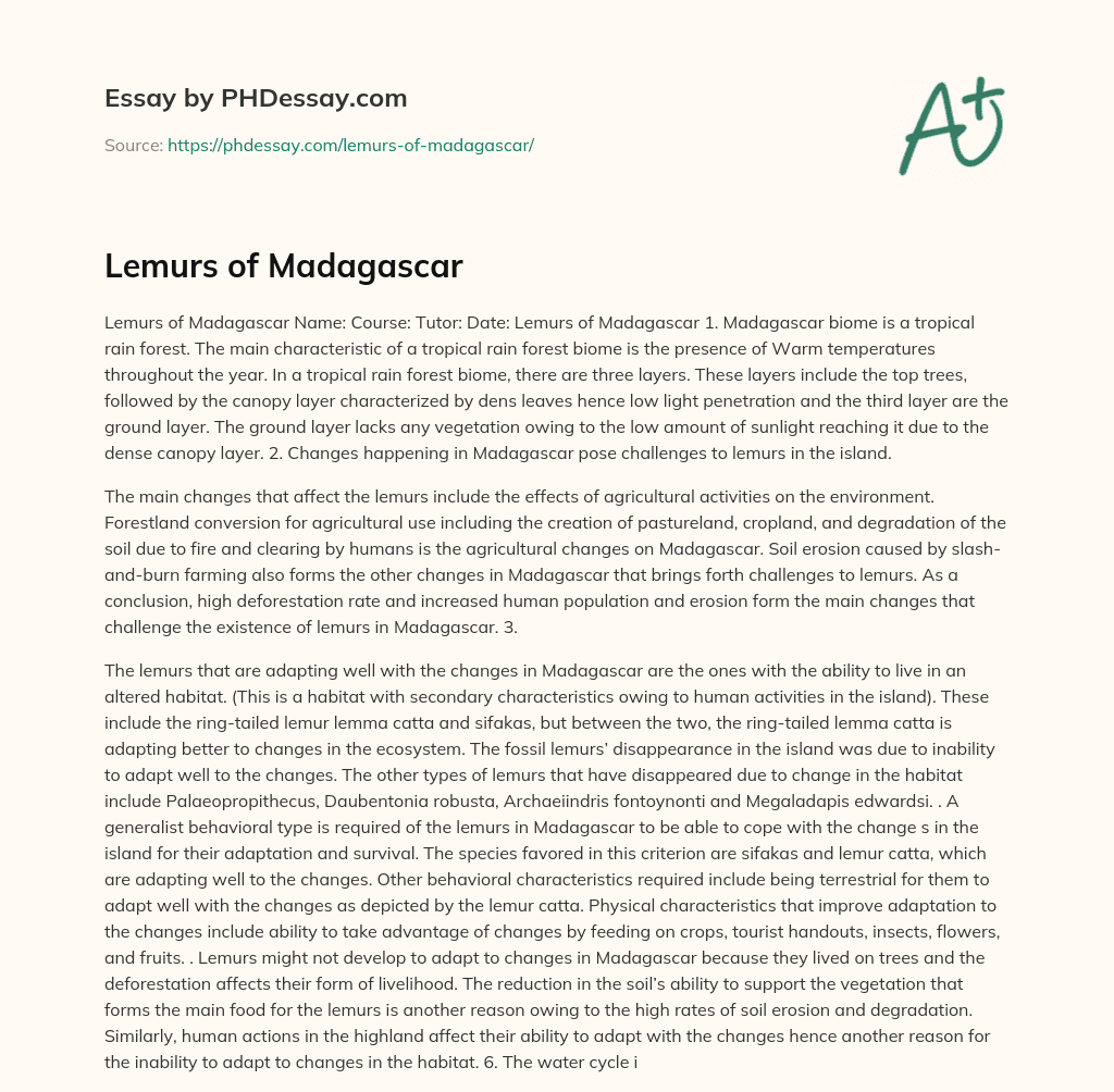 Lemurs of Madagascar essay
