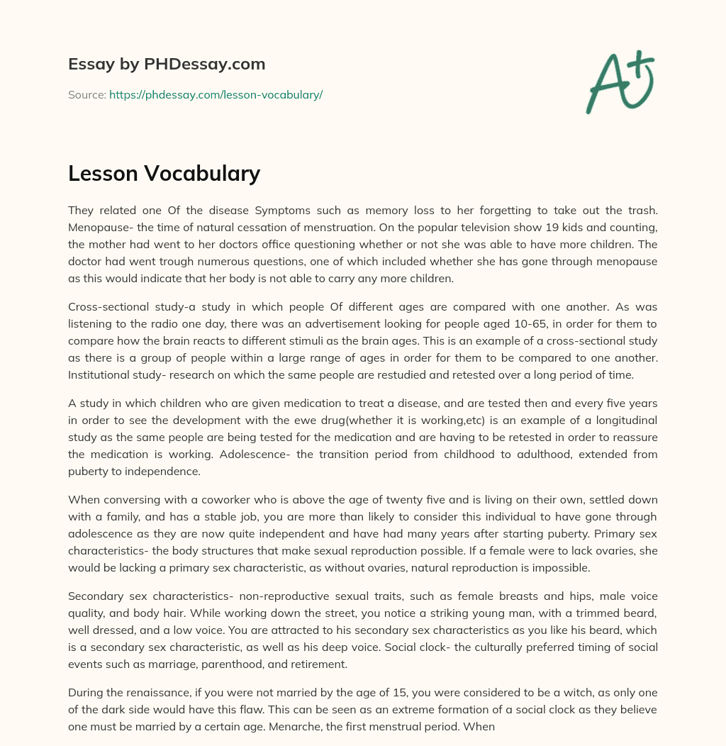 Lesson Vocabulary essay