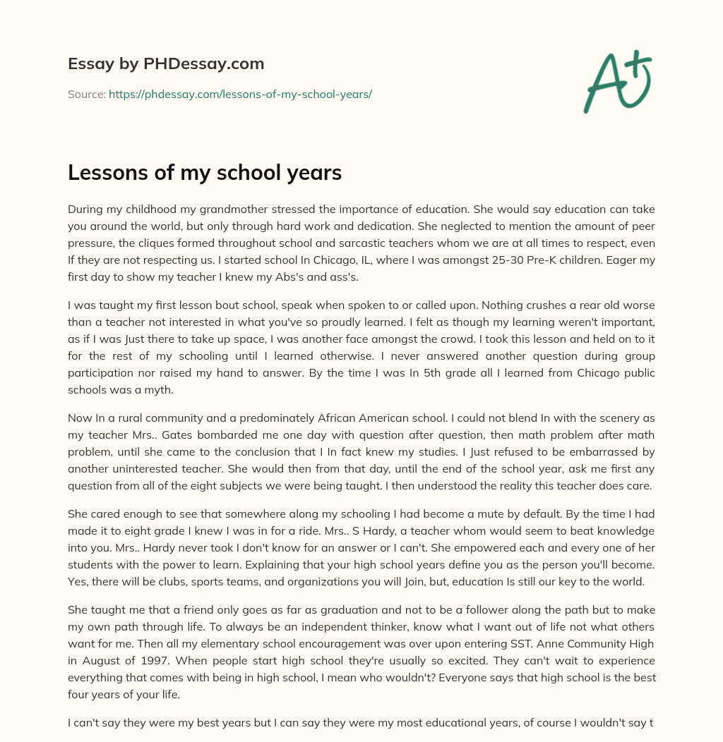 Lessons of my school years essay
