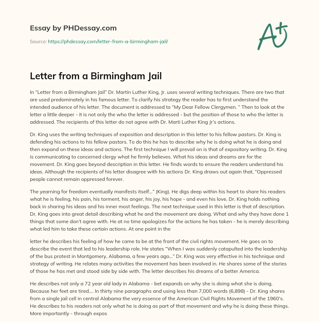 letter from birmingham jail essay hook