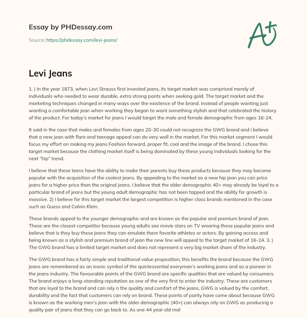 Targeting the Youth Market for Fashion-Forward Jeans essay