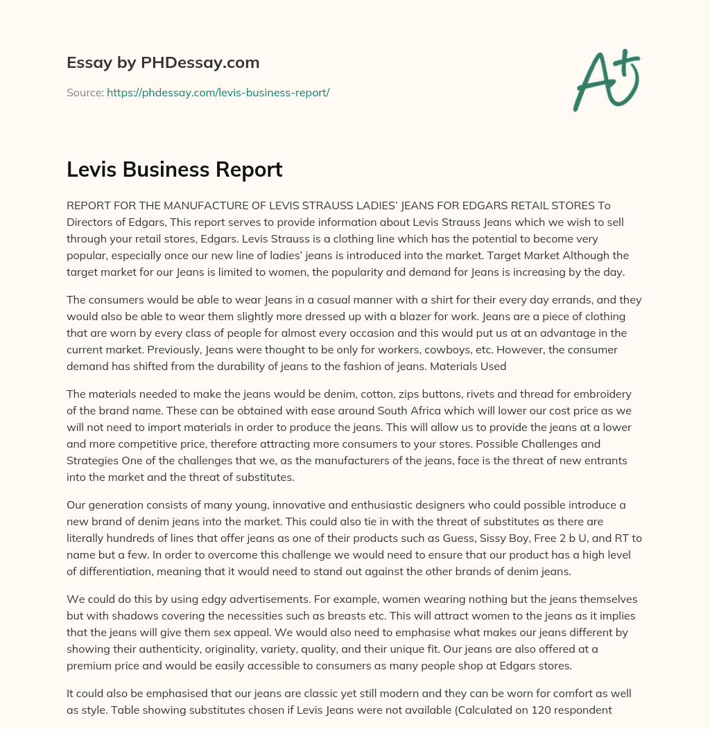Levis Business Report essay