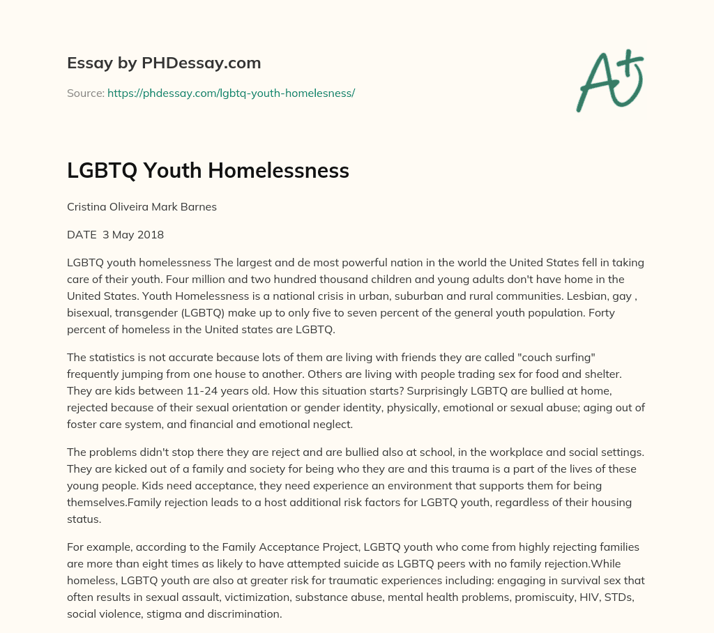 LGBTQ Youth Homelessness essay