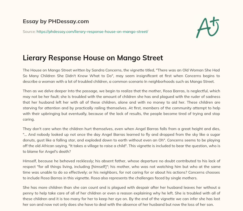 Lierary Response House on Mango Street essay
