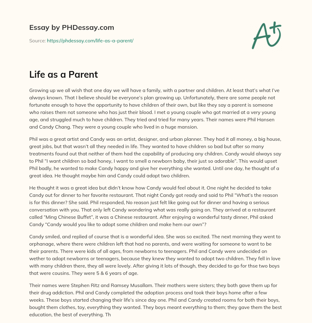 Life as a Parent essay
