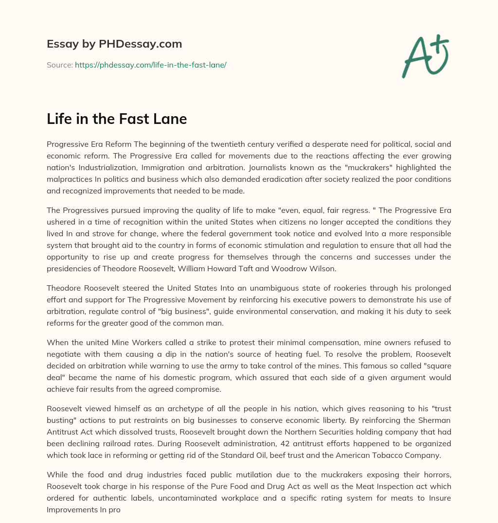 Life in the Fast Lane essay