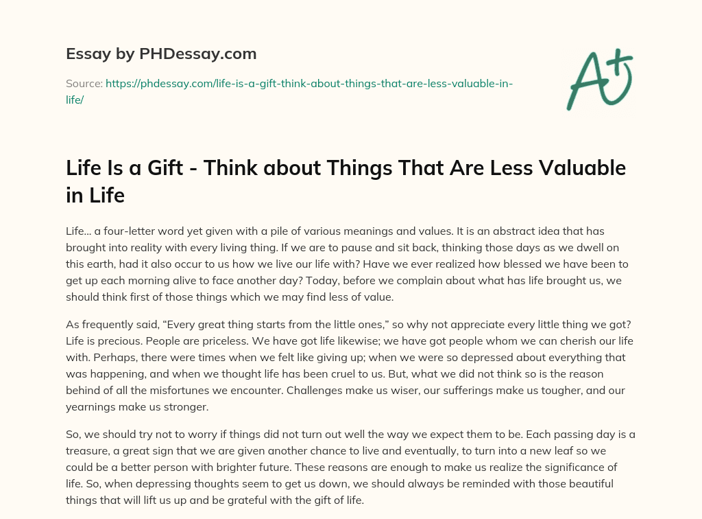 Life Is a Gift – Think about Things That Are Less Valuable in Life essay