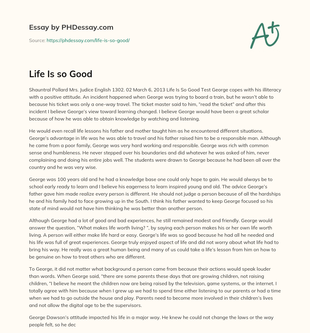 Life Is so Good essay