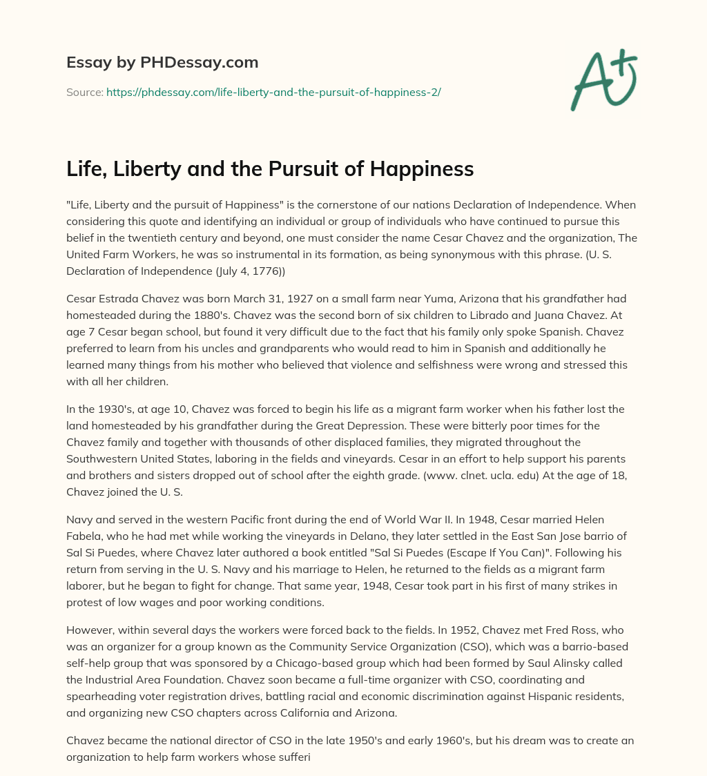 life liberty and the pursuit of happiness essay