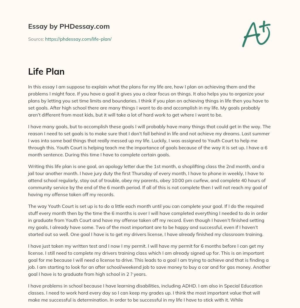plan in your life essay