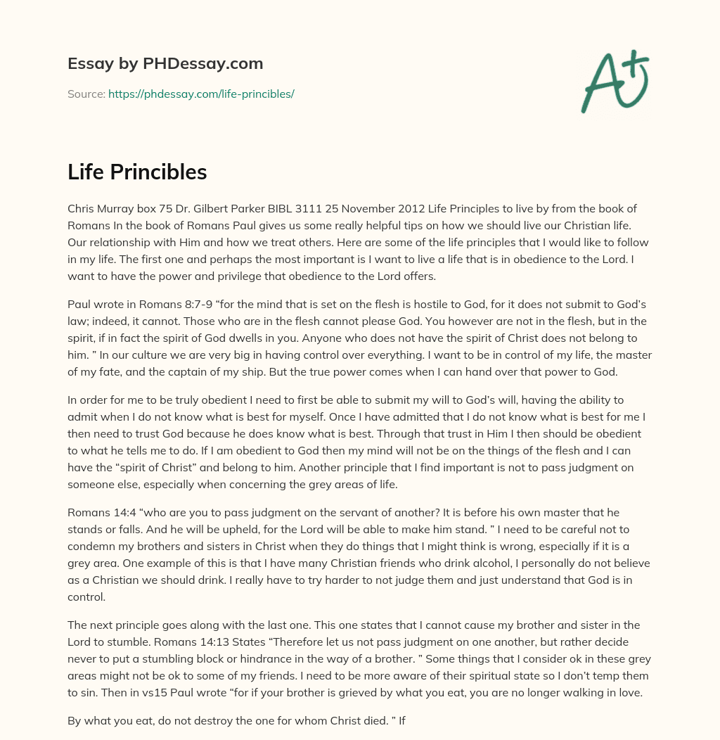 Life Princibles essay