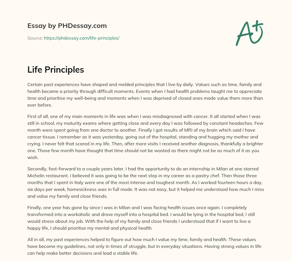 life principles essay