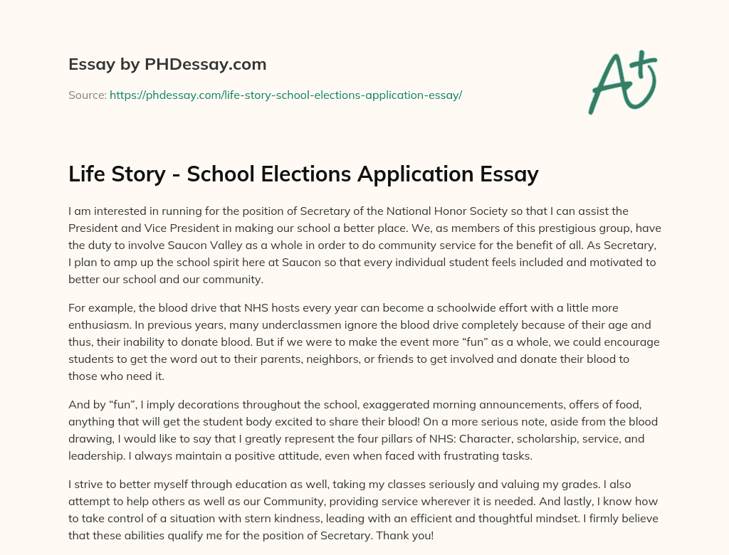Life Story – School Elections Application Essay essay