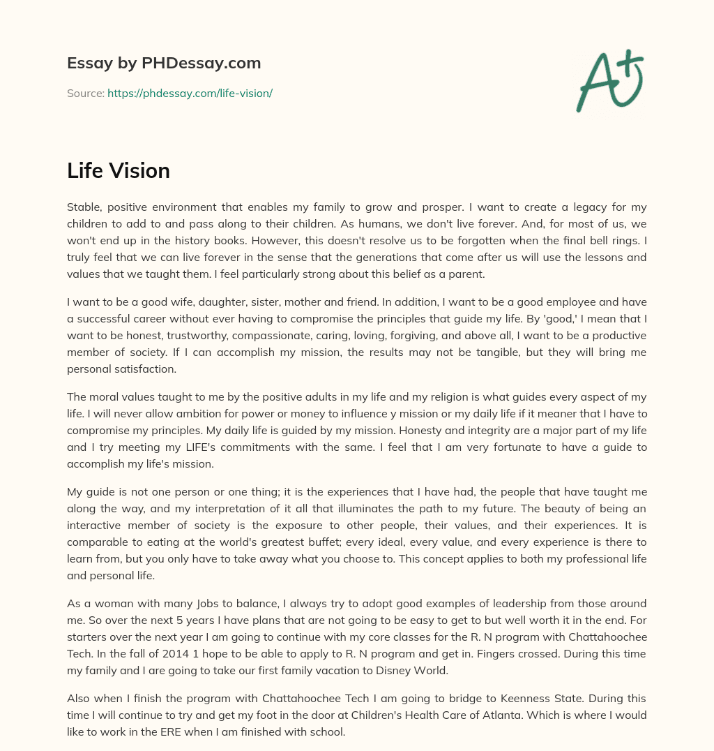 life vision essay