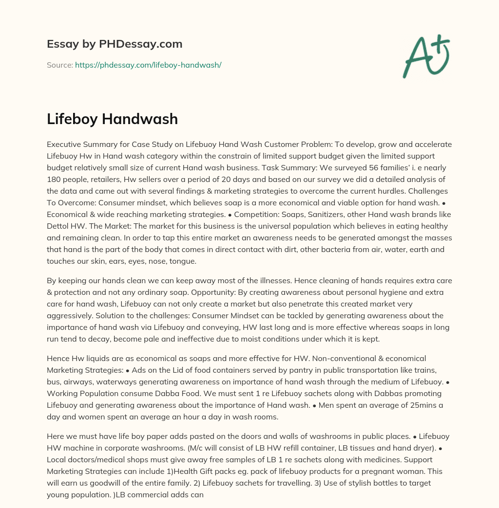 Lifeboy Handwash essay