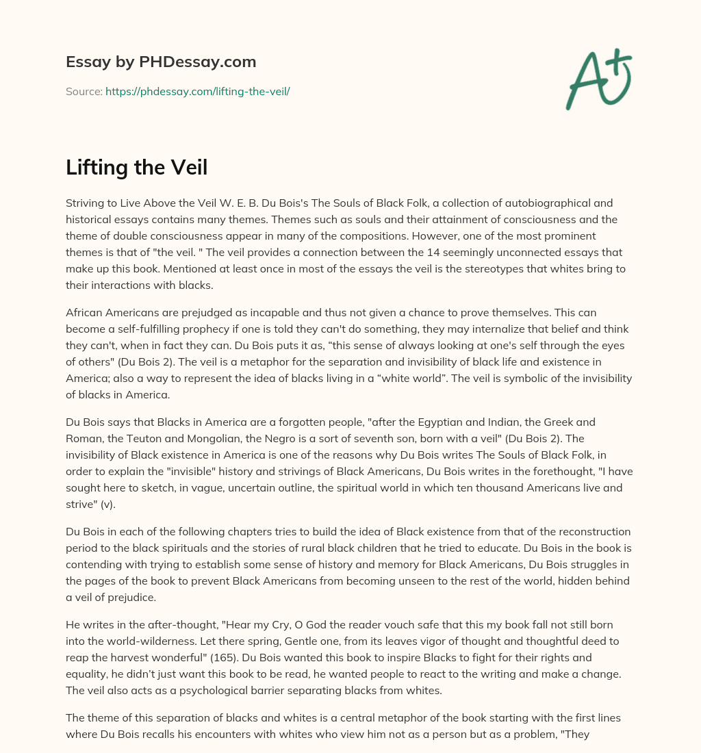 Lifting the Veil essay