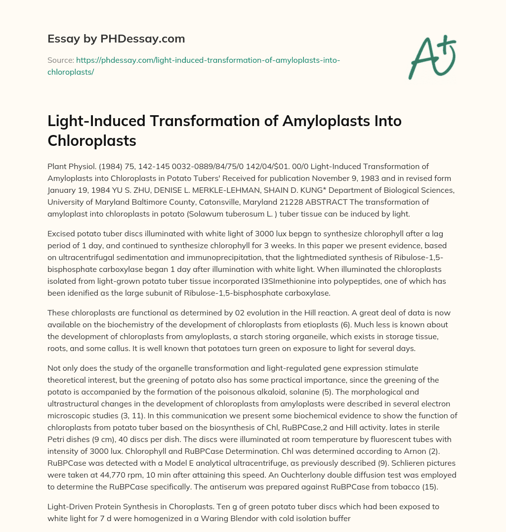Light-Induced Transformation of Amyloplasts Into Chloroplasts essay