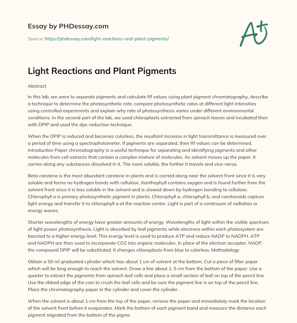 Light Reactions and Plant Pigments essay