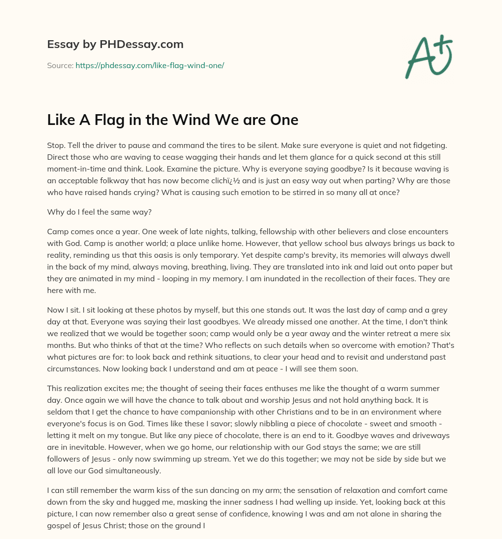 Like A Flag in the Wind We are One essay