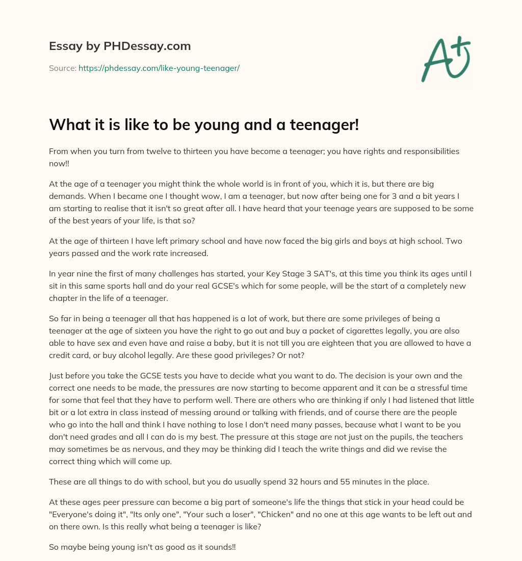 What it is like to be young and a teenager! essay