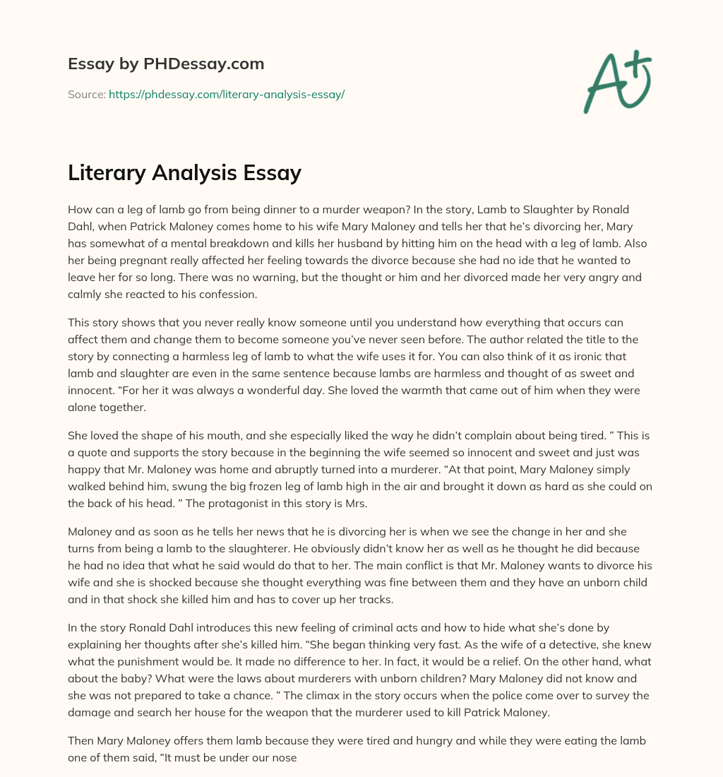 Literary Analysis Essay essay