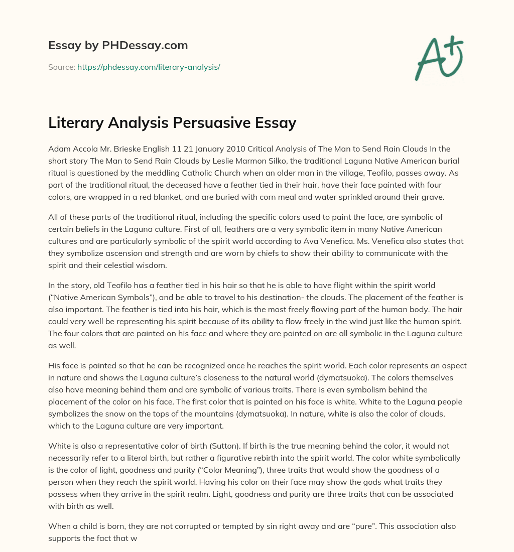 Literary Analysis Persuasive Essay essay