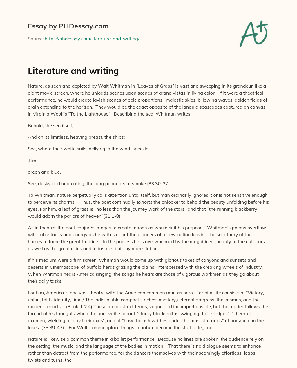 Literature and writing essay