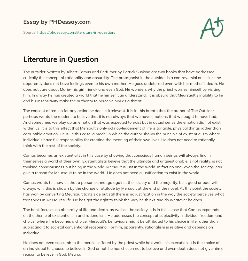 Literature in Question essay