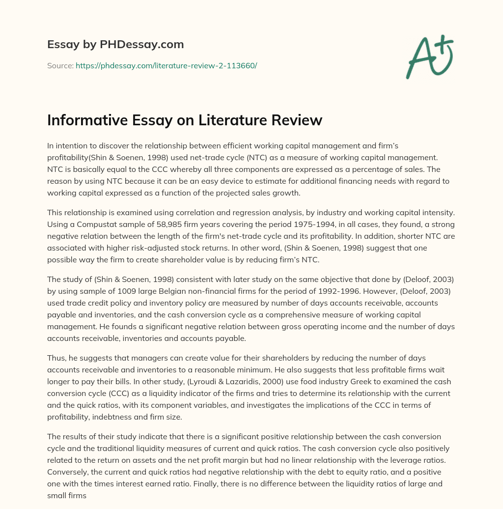 Informative Essay on Literature Review essay