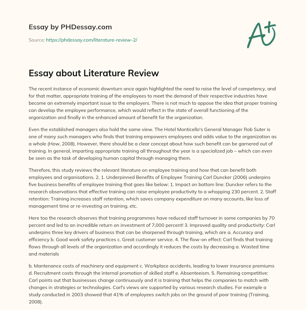 Essay about Literature Review essay