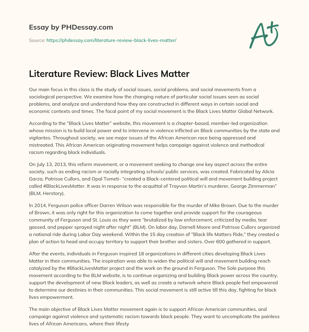 Literature Review: Black Lives Matter essay
