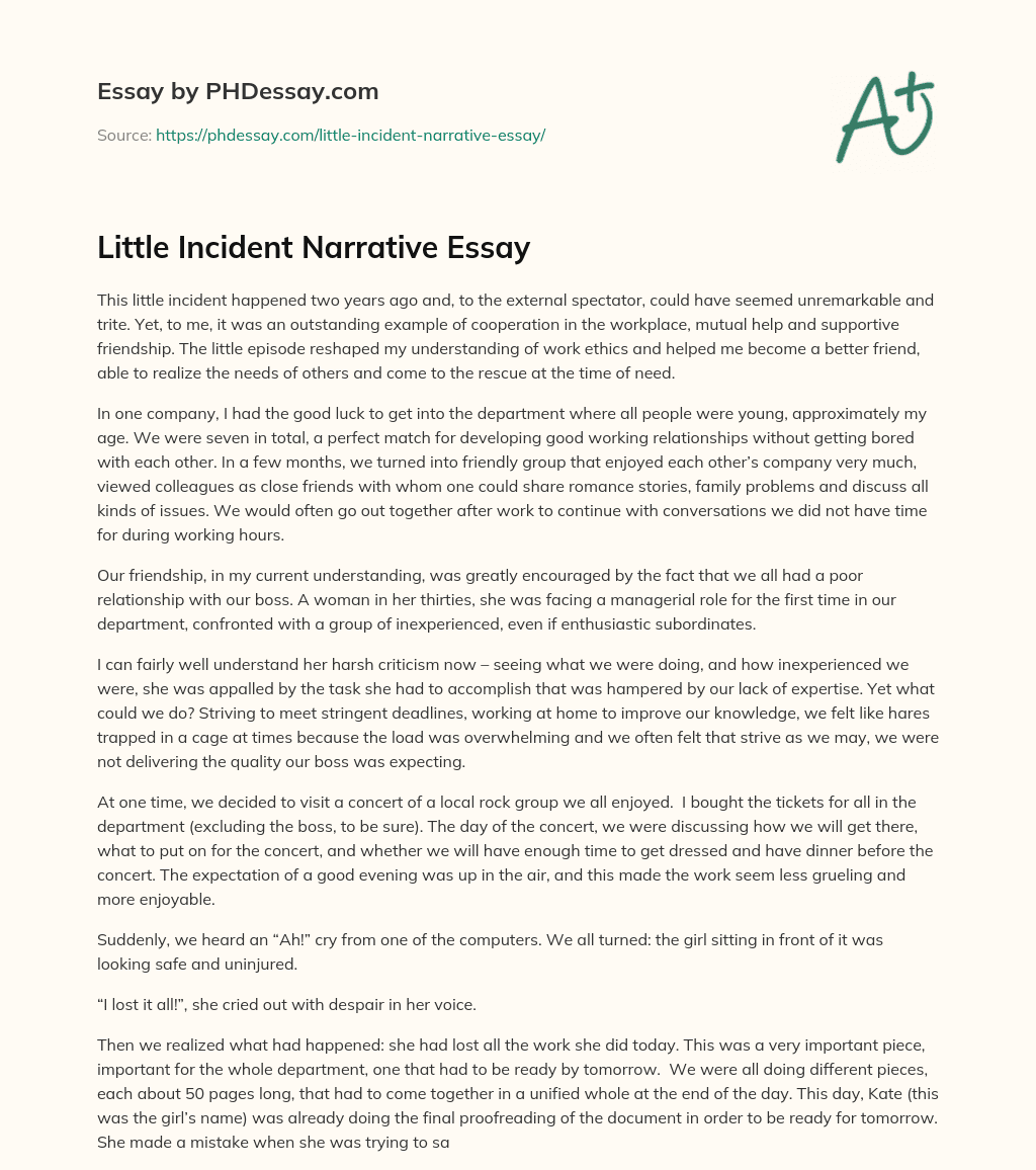 little-incident-narrative-essay-example-phdessay